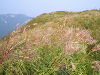 부암2리정류소 | 산행기 - ▒합천 부암산
