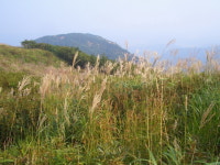 산행기 - ▒합천 부암산