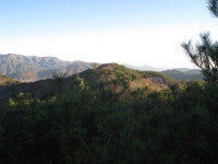 산행기 - ▒ 김천 대덕산