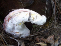 산행기 - ▒진주 장아산~진양호