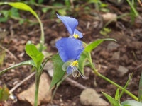 산행기 - ▒포항 바데산~동대산