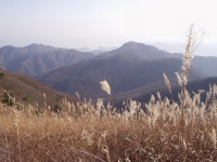 산행기 - ▒장흥 제암산