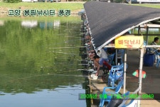 커뮤니티