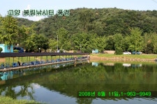 커뮤니티