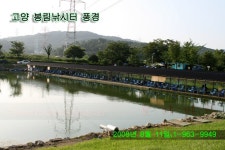 커뮤니티