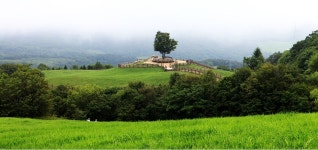 시원한 초원의 목장 > 갤러리