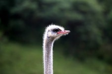 시원한 초원의 목장 > 갤러리