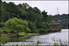 울산 선암 호수공원(1) > 갤러리