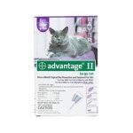 	Advantage PURPLE-20-6 Flea Control for Cats and Kittens Over 9 lbs 6 Month Supply : Flea & Tick Repellents - Best Buy Canada... 