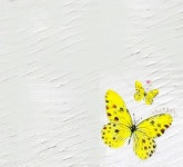 사람사는세상 노무현재단  