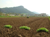 사람사는세상 노무현재단  