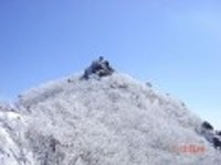 산행기 - 폭설이 지나간 아름다운 백운산 전남광양 사진첨부