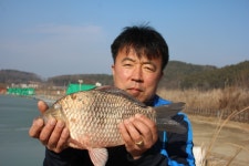 내동지 유료낚시터 > *** 개장 안내 *** : 낚시사랑