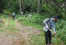 당진 송산면새마을협의회, 봉화산 등산로 제초작업 실시:내외신문 ≪내외신문≫ 당진 송산면새마을협의회, 봉화산 등산로 제초작업 실시