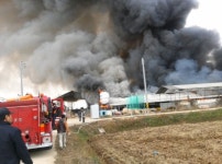 [속보] 당진시 신평면 돼지 농장 화재 현장:내외신문 ≪내외신문≫ [속보] 당진시 신평면 돼지 농장 화재 현장