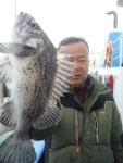 바다사랑닷컴