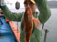 안면도옷점항 우럭낚시 10/11일 조황정보입니다. 1해주호 조황정보  [충남 - 태안군] - 낚시배닷컴