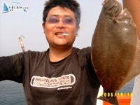 마검포항 배낚시   유강곤님외 8분의 근해조황 입니다 정원1호 조황정보  [충남 - 태안군] - 낚시배닷컴