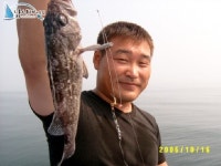 마검포항 배낚시   유강곤님외 8분의 근해조황 입니다 정원1호 조황정보  [충남 - 태안군] - 낚시배닷컴