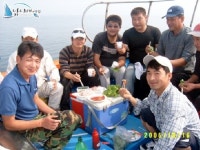 마검포항 배낚시   유강곤님외 8분의 근해조황 입니다 정원1호 조황정보  [충남 - 태안군] - 낚시배닷컴