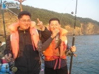 천리포항 선상낚시 11월18일 연일호 조황입니다. 연일호 조황정보  [충남 - 태안군] - 낚시배닷컴