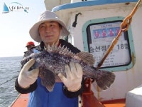   4월28일 동남호 조황입니다  조황정보  [ - ] - 낚시배닷컴