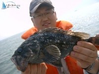 안면도옷점항 우럭낚시 옷점항선상낚시 5월7일 조황입니다. 1해주호 조황정보  [충남 - 태안군] - 낚시배닷컴