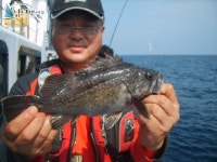 	안면도영목항바다낚시  피싱스타호[충남 태안군 - 영목항] :: 낚시배닷컴 바다낚시 