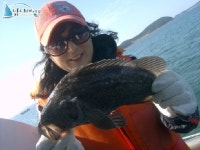 안면도옷점항 우럭낚시 옷점항선상낚시 10/14 수원팀 조황입니다. 1해주호 조황정보  [충남 - 태안군] - 낚시배닷컴