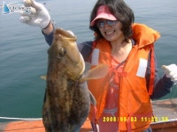 안면도옷점항 우럭낚시 옷점항바다낚시 5월3일 개인출조 조황입니다. 1해주호 조황정보  [충남 - 태안군] - 낚시배닷컴