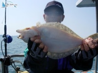 영흥도 배낚시 영동3호5월14일 굿 조항정보 영동3호 조황정보  [인천 - 옹진군] - 낚시배닷컴