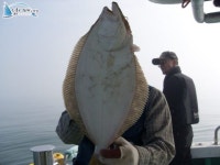 			인천 침선낚시 7월27일 조황! 덕근호 				 	조황정보[인천 중구 - 연안부두] :: 낚시배닷컴