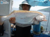  	안흥낚시배  뉴길성호[충남 태안군 - 안흥항] :: 낚시배닷컴 낚시배 