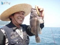 8월28일 2부 광어가 30수이상 올라왔고 좋습니다. 4키로 광어도 올라왔습니다 안흥2호 				 	조황정보[충남 태안군 - 안흥항] :: 낚시배닷컴