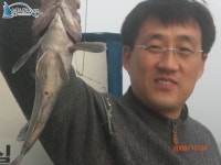 Photo des résultats de recherche Naver 5