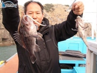 		 선상바다낚시 <재성호> 11월03일 조황정보 재성호				 	조황정보[충남 태안군 - 안흥항] :: 낚시배닷컴