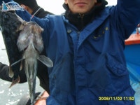 안면도옷점항 다운샷낚시 안면도갑오징어낚시  3주연속 조황... 옷점금성호 조황정보  [충남 - 태안군] - 낚시배닷컴