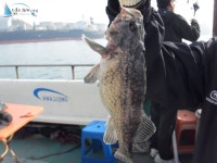 			  화성303호 4월19일조황  				 	조황정보[  - ] :: 낚시배닷컴