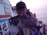 		 비응도바다낚시 5월16일군산남진호조항입니다 남진호				 	조황정보[전북 군산시 - 비응도항] :: 낚시배닷컴