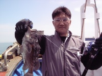 		 비응도바다낚시 5월16일군산남진호조항입니다 남진호				 	조황정보[전북 군산시 - 비응도항] :: 낚시배닷컴