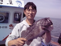 		 비응도바다낚시 5월16일군산남진호조항입니다 남진호				 	조황정보[전북 군산시 - 비응도항] :: 낚시배닷컴