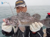 안흥 배낚시 안흥배낚시 6월 20일 늘 가까이 싱글라인 코리아 낚시대회 대상  남덕5호 조황정보  [충남 - 태안군] - 낚시배닷컴::