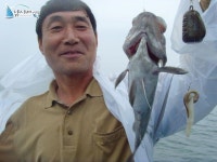 	평택광어낚시  대명호[경기 평택시 - 평택항] :: 낚시배닷컴 광어낚시 