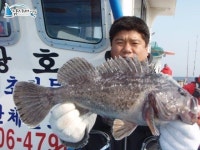 		 신진도낚시배 10월 18일 조황 영광호				 	조황정보[충남 태안군 - 신진도항] :: 낚시배닷컴