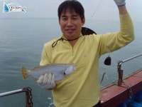 석천 바다낚시 석천항낚시배 10년10월24일 조황정보 임해호 조황정보  [경기 - 화성시] - 낚시배닷컴