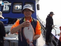 		 석천항낚시배 5월28일 조황 정보입니다. 경기남부수협1호				 	조황정보[경기 화성시 - 매향항] :: 낚시배닷컴