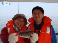 		 석천항낚시배 5월28일 조황 정보입니다. 경기남부수협1호				 	조황정보[경기 화성시 - 매향항] :: 낚시배닷컴