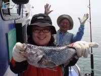 		 석천항낚시배 5월28일 조황 정보입니다. 경기남부수협1호				 	조황정보[경기 화성시 - 매향항] :: 낚시배닷컴