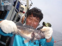 			안흥 바다낚시 6/28 (1부 )조황 입니다 안흥1호 				 	조황정보[충남 태안군 - 안흥항] :: 낚시배닷컴