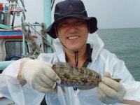 석천 바다낚시 석천항배낚시 7월24일 임해호조황정보 -1 임해호 조황정보  [경기 - 화성시] - 낚시배닷컴